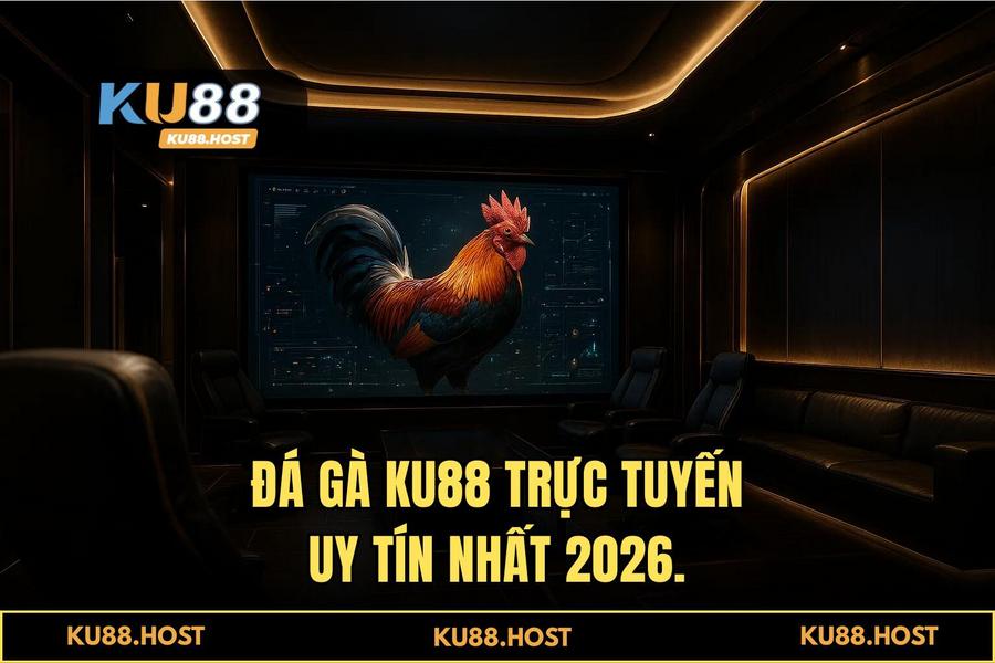 Tại sao KU88 là sự lựa chọn số 1 của cộng đồng đam mê đá gà trực tuyến 2026